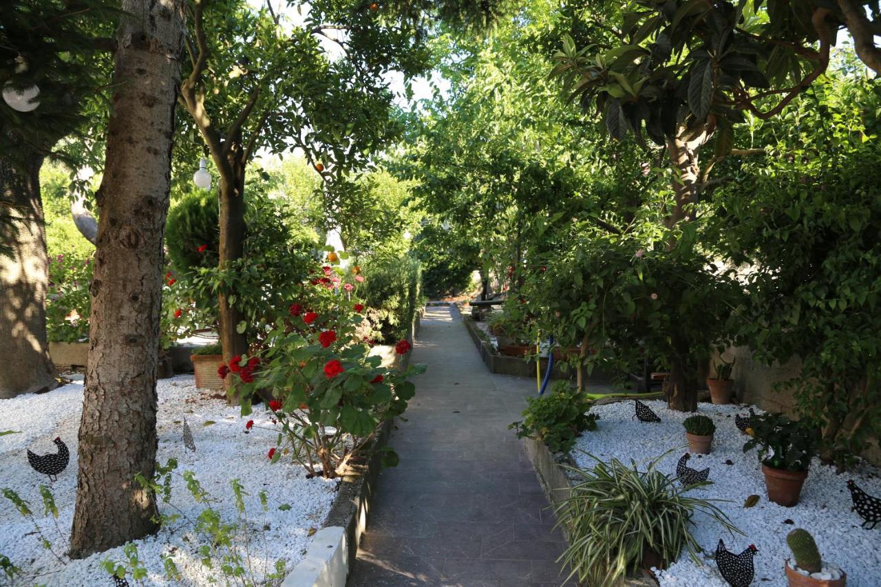 B&B Villa Gemini Sant'Agnello Exterior photo