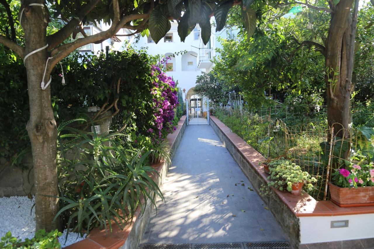 B&B Villa Gemini Sant'Agnello Exterior photo